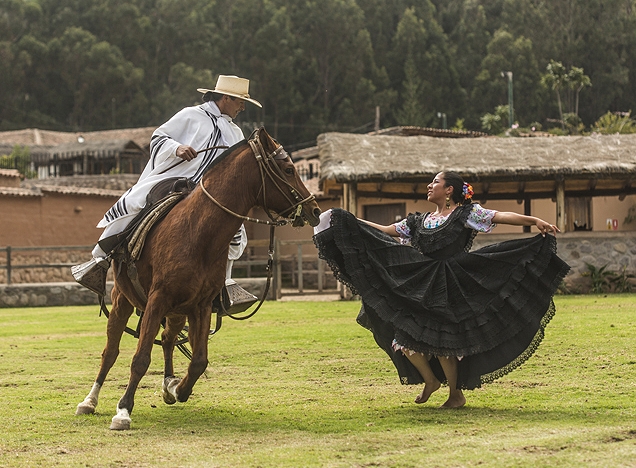 Peruvian paso horsemanship at Sol y Luna