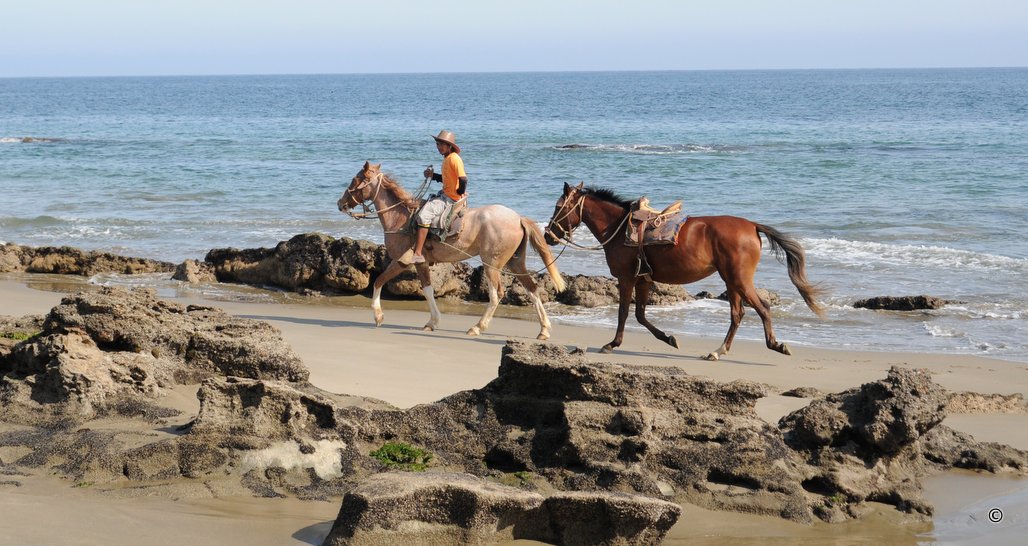 Horse riding, Peru