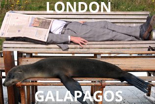 Roll over humans - benches are for sea lions to snooze on in Galapagos!